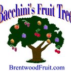 Avatar for Bacchini's Fruit Tree
