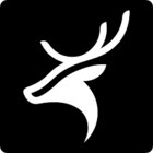 Avatar for Ai work