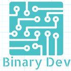 Avatar for Binary Dev