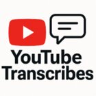 Avatar for YouTube Transcribes