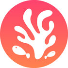 Avatar for Jen Wirt