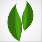 Avatar for Jennifer T Webb