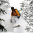 Avatar for Daan de Bie