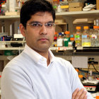 Avatar for Sandeep R Datta