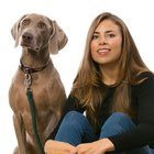 Avatar for Christina Bellman