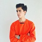 Avatar for Din Bisevac