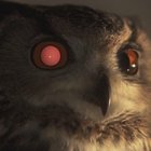 Avatar for Maciej Markiewicz