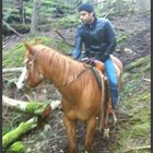 Avatar for Tauqeer Bashir