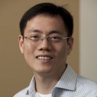 Avatar for Kai Wang