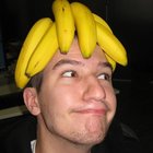 Avatar for Sam Sandberg