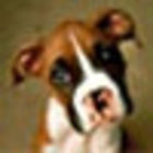 Avatar for Jonathon Schuster
