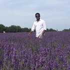 Avatar for Rajesh Ramaswamy