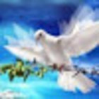 Avatar for Hasan Kumar