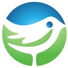 Avatar for Nilesh B