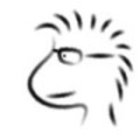 Avatar for DK