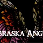 Avatar for Nebraska Angels