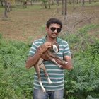Avatar for Nagachaitra Mysore