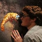 Avatar for Cameron Bradford