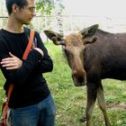 Avatar for Uriy Zhuravlev