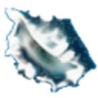 Avatar for Aaron Evans