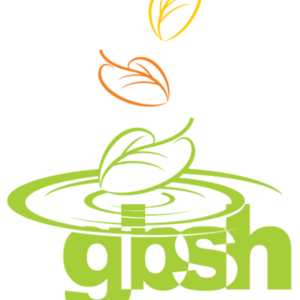 GBSH Consult Group