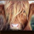 Avatar for Loreen Milbrath