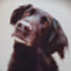 Avatar for Nicole Reback