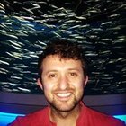 Avatar for Andrew Sinkov