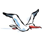 Avatar for Matthieu Le Berre