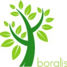 Avatar for Boralis BV