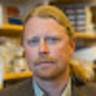 Avatar for Bradley Messmer
