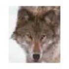 Avatar for John Rasey