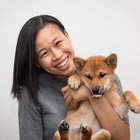 Avatar for Cindy Zeng