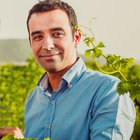 Avatar for Adrián Ferrero Fernandez