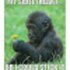 Avatar for Greg Shabanov
