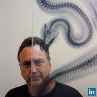 Avatar for Steve Miller
