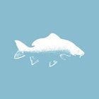 Avatar for Alexander Karp