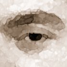 Avatar for Gregor Stewart