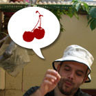 Avatar for Kostis Sakkas