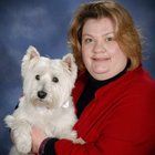 Avatar for Lori Martel