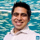Avatar for Kaushal Kantawala