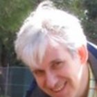 Avatar for Michiel Wind