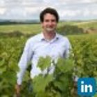 Avatar for Matthieu Mangenot