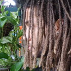 Avatar for Steve Tom Sawyer