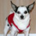 Avatar for Cassie Mere Johnson