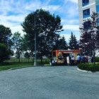 Avatar for Wenwen He