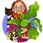 Avatar for Jesse McNelis