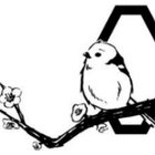 Avatar for Sho Tamura