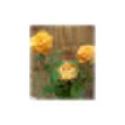 Avatar for Angelo Bencetti