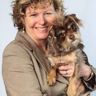 Avatar for Kerri Marshall, DVM, MBA